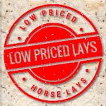 Low Priced Lays